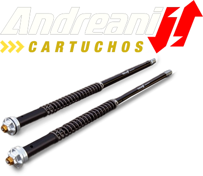 CARTUCHOS ANDREANI
