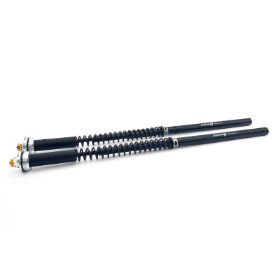 Andreani Cartuchos de horquilla regulables Misano EVO Triumph Rocket 3 Roadster 2010-17 (Kayaba 43)