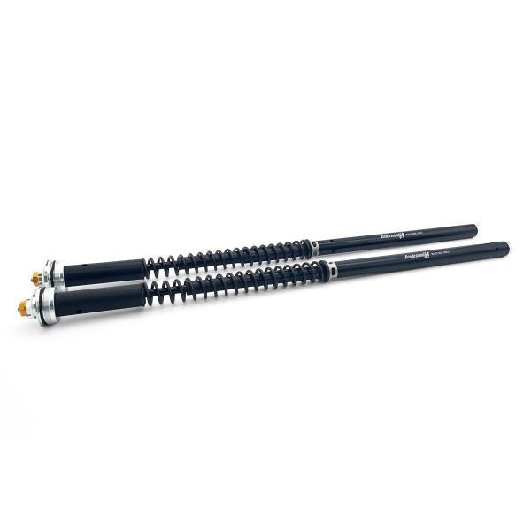 Andreani Cartuchos de horquilla regulables Misano EVO Triumph Rocket 3 Roadster 2010-17 (Kayaba 43)