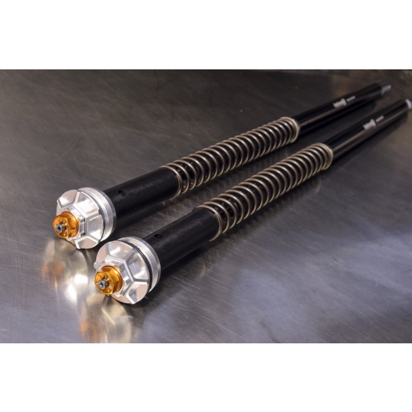 Andreani Cartuchos de horquilla regulables Misano EVO BMW F 900 R 2020-2023 (Showa 43)