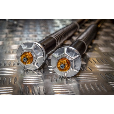 Andreani Cartuchos de horquilla regulables Misano EVO BMW F 900 R 2020-2023 (Showa 43)