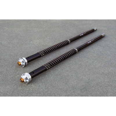 Andreani Cartuchos de horquilla regulables Misano EVO BMW F 900 R 2020-2023 (Showa 43)