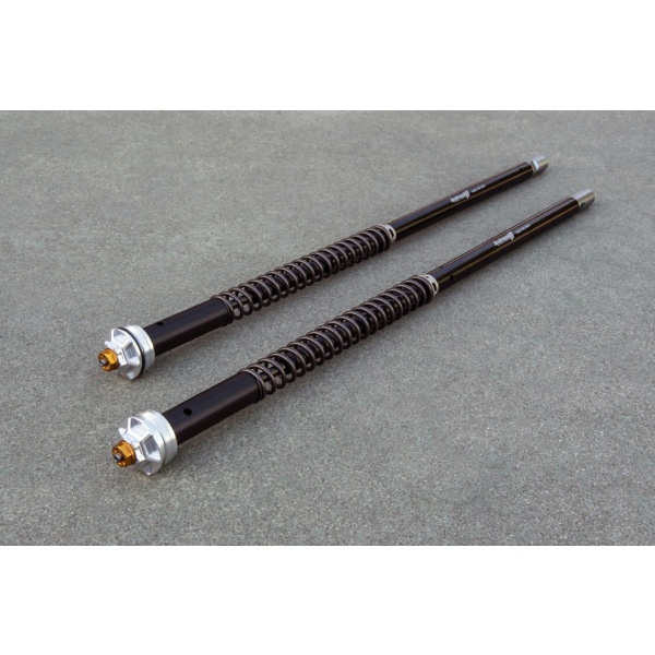 Andreani Cartuchos de horquilla regulables Misano EVO BMW F 900 R 2020-2023 (Showa 43)