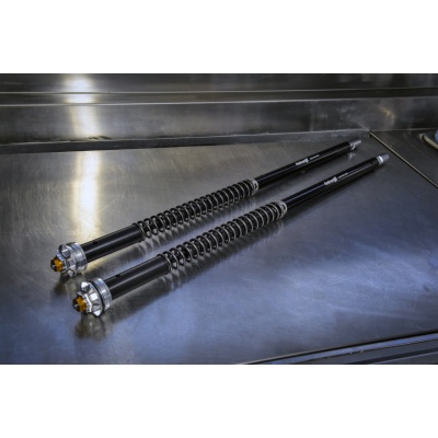 Andreani Cartuchos de horquilla regulables Misano EVO BMW F 900 R 2020-2023 (Showa 43)