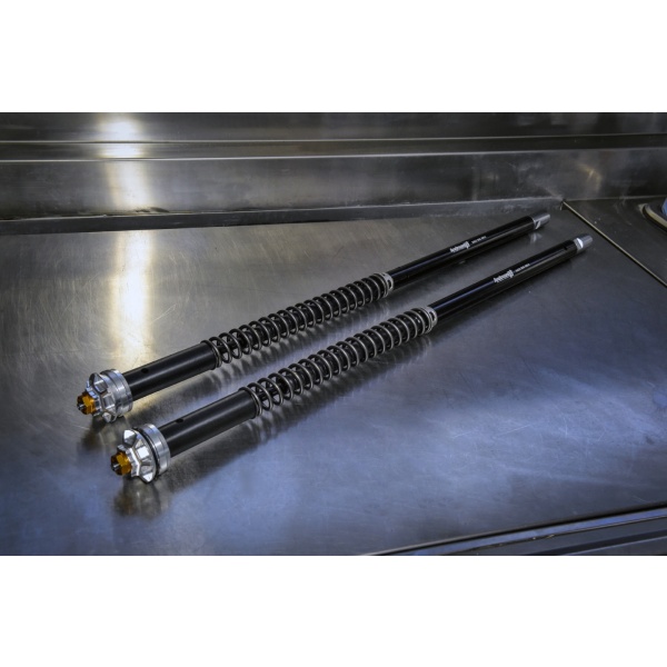 Andreani Cartuchos de horquilla regulables Misano EVO BMW F 900 R 2020-2023 (Showa 43)