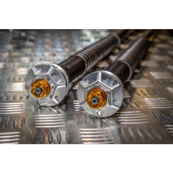 Andreani Cartuchos de horquilla reg. Misano EVO Harley Davidson Softail Low Raider ST 2022-(Showa 43