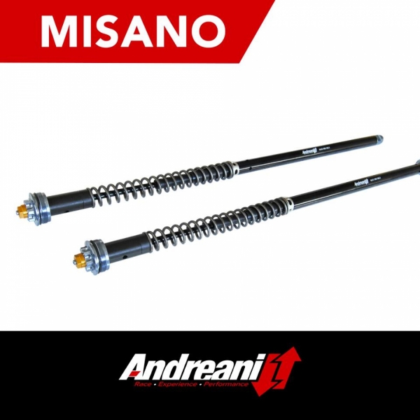Andreani Cartuchos de horquilla regulables Misano Honda Goldwing 1800 F6C 2014-16 (Showa 45)