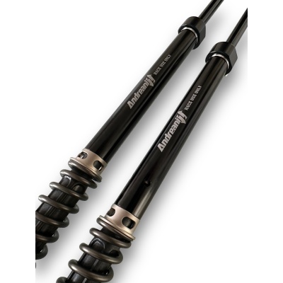 Andreani Cartuchos de  no reg. Plug&Play Misano Harley Davidson FLH/FLT (solo Road King) 14-24