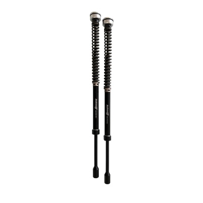 Andreani Cartuchos de  no reg. Plug&Play Misano Harley Davidson FLH/FLT (solo Road King) 14-24