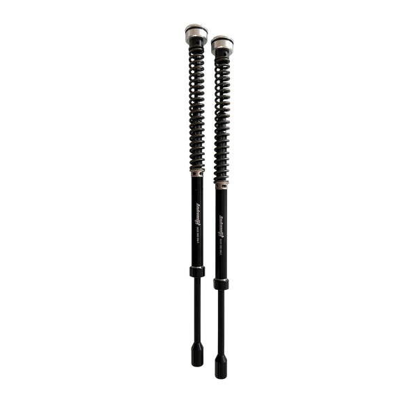 Andreani Cartuchos de  no reg. Plug&Play Misano Harley Davidson FLH/FLT (solo Road King) 14-24