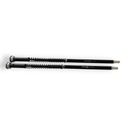 Andreani Cartuchos de horquilla regulables Misano EVO 2 Kawasaki Z 650 RS 2025- (Kayaba 41)