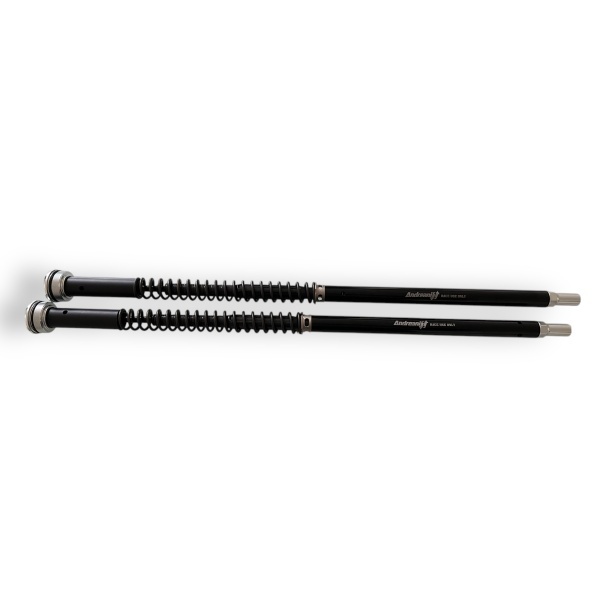 Andreani Cartuchos de horquilla regulables Misano EVO 2 Kawasaki Z 650 RS 2025- (Kayaba 41)