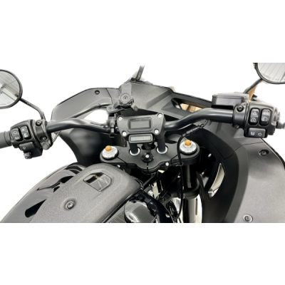 Andreani Cartuchos de horquilla reg. Misano EVO Harley Davidson Softail Low Raider ST 2022-(Showa 43