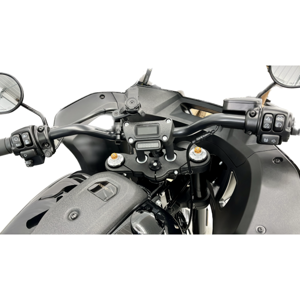 Andreani Cartuchos de horquilla reg. Misano EVO Harley Davidson Softail Low Raider ST 2022-(Showa 43