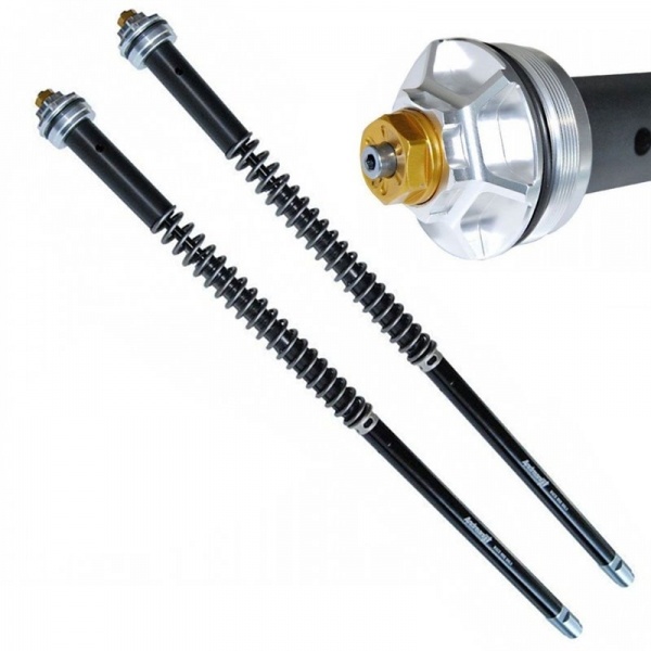 Andreani Cartuchos de horquilla regulables Misano EVO Kawasaki W800 / 800 2011-12