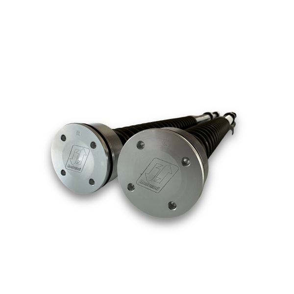 Andreani Cartuchos de horquilla no regulables Plug&Play Misano Harley Davidson FLH/FLT Touring 2024-