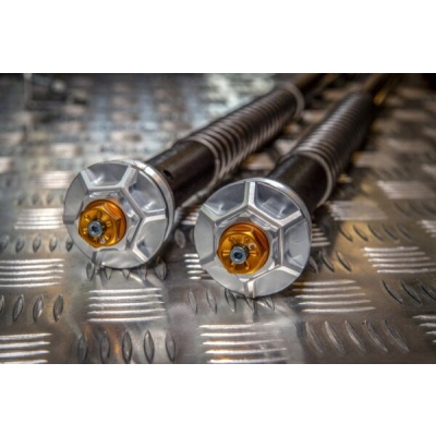 Andreani Cartuchos de horquilla regulables Misano EVO Benelli Leoncino 800 2022- (RAC 50 China)