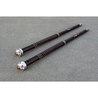 Andreani Cartuchos de horquilla regulables Misano EVO Benelli Leoncino 800 2022- (RAC 50 China)