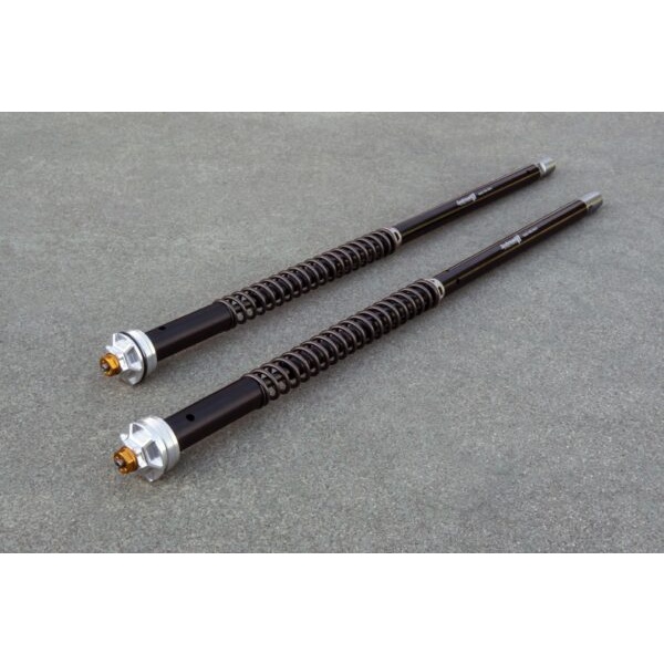 Andreani Cartuchos de horquilla regulables Misano EVO Benelli Leoncino 800 2022- (RAC 50 China)