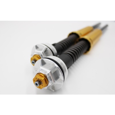Andreani Cartuchos de horquilla regulables Misano EVO Zero SR-F 2022-24 (Showa 43 BPF)