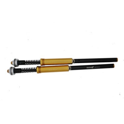 Andreani Cartuchos de horquilla regulables Misano EVO Zero SR-F 2022-24 (Showa 43 BPF)