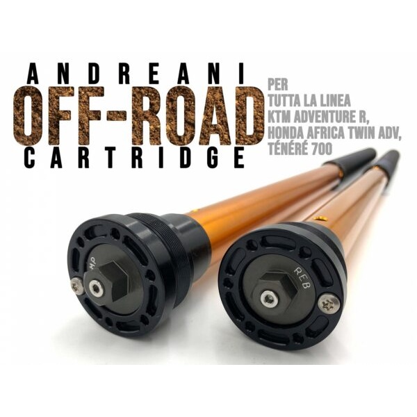 Andreani Cartuchos de horquilla regulables Rally Race BMW F 850 GS 2018-24 (Showa 43) Versión +25mm