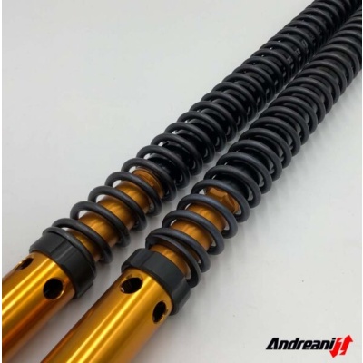 Andreani Cartuchos de horquilla regulables Rally Race Triumph Scrambler 400 X 2024- (Showa 45) +30mm