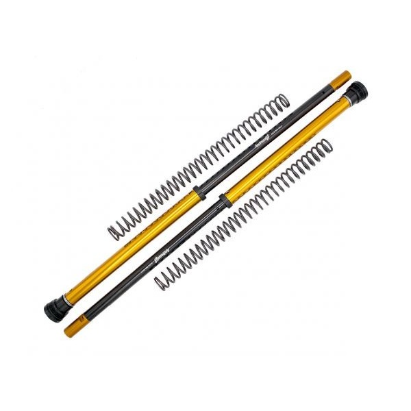 Andreani Cartuchos de horquilla regulables Rally Race Honda CRF 300 L Rally 2021-24 (Showa 43)
