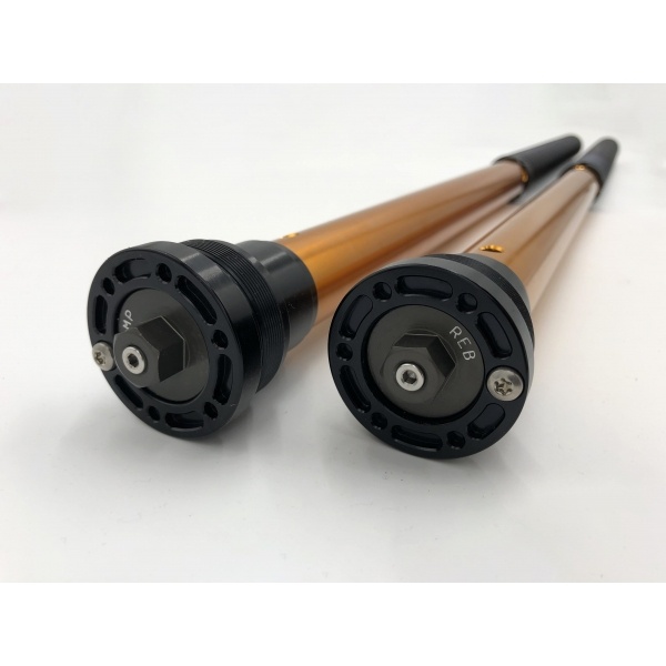 Andreani Cartuchos de horquilla regulables Misano EVO Zero SR-S 2022-24 (Showa 43 BPF)