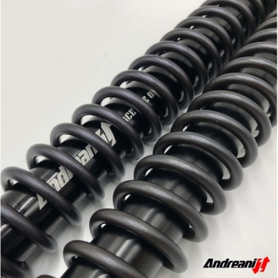 Andreani Cartuchos de horquilla regulables Misano EVO Zero SR-S 2022-24 (Showa 43 BPF)