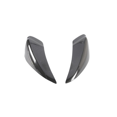Lightech Protección Lateral Depósito para Yamaha R6