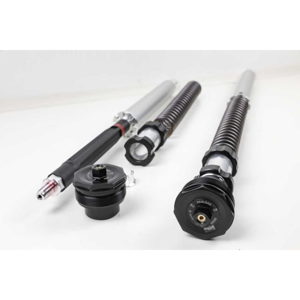 Öhlins Cartucho de horquilla NIX30A Harley Davidson Pan America 1250 2021- (horquilla Showa)