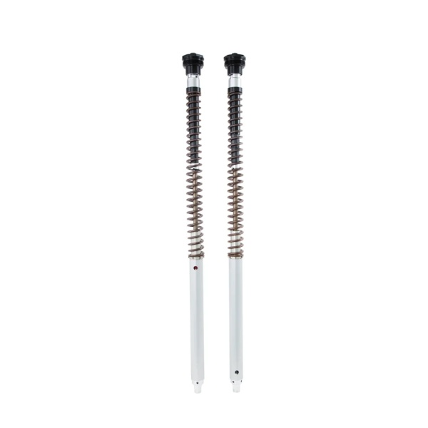 Öhlins Cartucho de horquilla NIX30A Honda CRF 300 L (Asia) 2021-2023