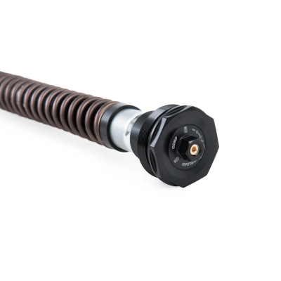 Öhlins Cartucho de horquilla NIX30A Honda CRF 300 L (Asia) 2021-2023