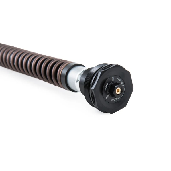 Öhlins Cartucho de horquilla NIX30A Honda CRF 300 L (Asia) 2021-2023