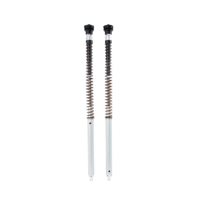 Öhlins Cartucho de horquilla NIX30A Honda CRF 300 L (Asia) 2021-2023