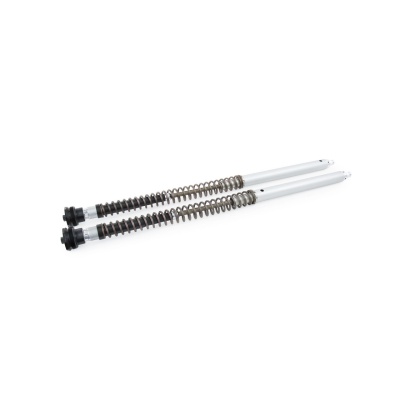 Öhlins Cartucho de horquilla NIX30A Ducati Desert X 2022-25