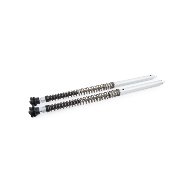 Öhlins Cartucho de horquilla NIX30A Ducati Desert X 2022-25