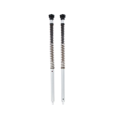 Öhlins Cartucho de horquilla NIX30A Ducati Desert X 2022-25