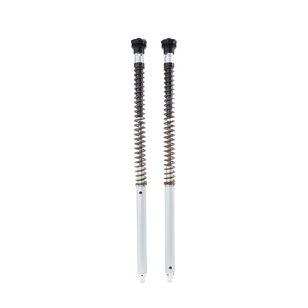 Öhlins Cartucho de horquilla NIX30A Ducati Desert X 2022-25