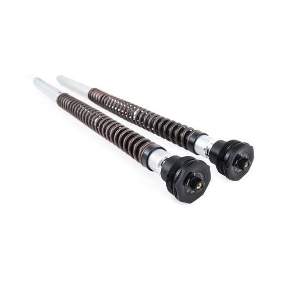 Öhlins Cartucho de horquilla NIX30A Ducati Desert X 2022-25