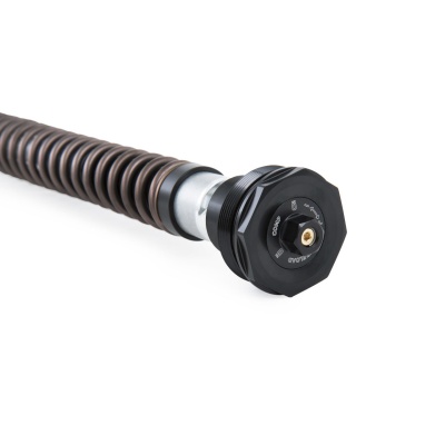 Öhlins Cartucho de horquilla NIX30A Ducati Desert X 2022-25