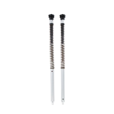 Öhlins Cartucho de horquilla NIX30A Yamaha Ténéré 700 World Raid 2022-24